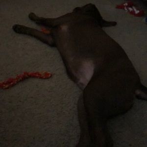 Meet your Posher, Mary